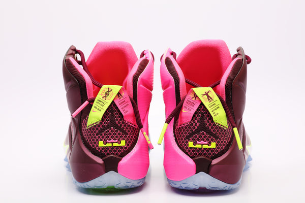 Men's Nike LeBron XII