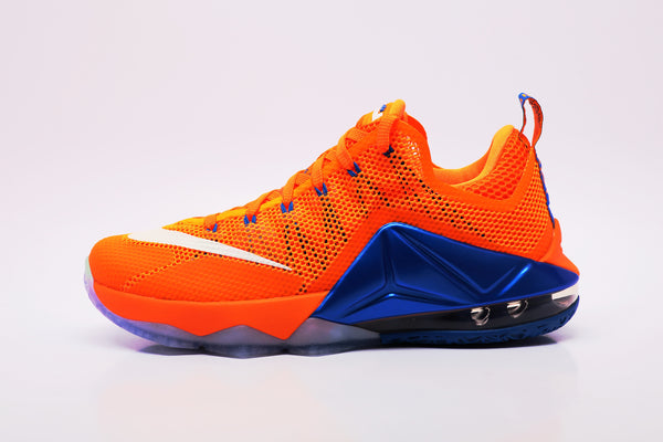 Men's Nike LeBron XII Low