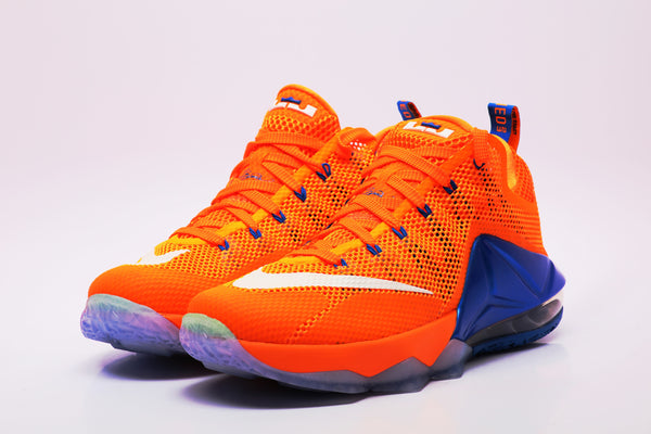 Men's Nike LeBron XII Low